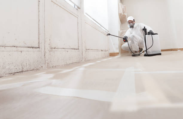 24/7 Emergency Basement Mold Remediation experts in Secaucus, NJ